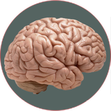 com.khorshid_ht.anatomemagzvaasab