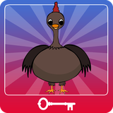 air.mwe.turkeyescape