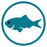 fish.app