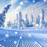 com.amaxlwps.winter
