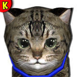 com.akrasoft.hikitty