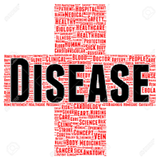 com.ali.hashemian.project.zero