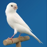 com.andromo.dev722227.app865042