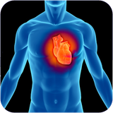 shik.hamechezdarmoredghalb