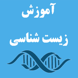 ir.shahrazmoon.localdb