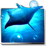 com.dualboot.apps.oceanfree