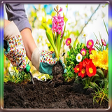 learngardening.gardenbeginners