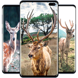 com.andromo.dev623844.app674421