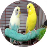 com.khorshid_ht.morrgheeshgh