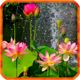 com.HnSoft.LotusLWP3D