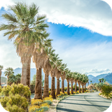 com.palmsprings.wallpaper.palmsringsbestwallpaper