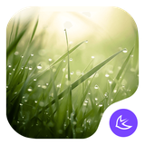 com.apusapps.theme.i_the_lush_leaves_a37dceb435