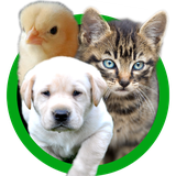 com.akkuzugames.baby.animal.sounds.kids