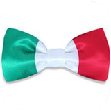 mosbat.zabaanhayitalia