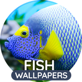 com.easy_wallpapers.fish