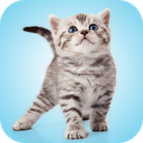 com.andromo.dev230101.app216863