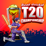 com.giritech.freehitcricket