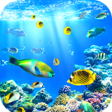 com.Aquarium.wallpaper.image.background.wallpaper