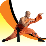 ir.tinasoft.kungfu_technique