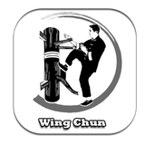 com.Rp.GalleryTechniqueOfWingChun