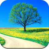 com.hd.nature.wallpaper.beautifulnature.wallpapers