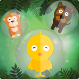 com.chronoglyphinteractive.zoobubblepop