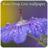 com.appbasic.raindrop