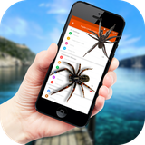 zahed.app.spider