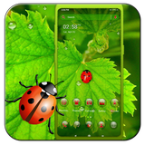 simila.ladybug.leaf.launcher