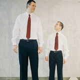 book.ghodb.faghragha