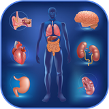 com.medical.human_anatomy.physiology