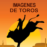 com.cendyrodriguez.imagenesdetoros