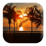 com.kikaapps.seaside.sounds.waves