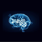 in.co.melon.BrainBooster