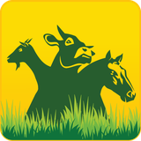 com.cabral.livestockmanager