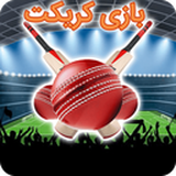 ir.st.gameNewcricket