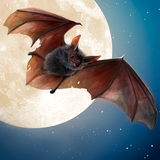 com.playmechanics.batsimulator