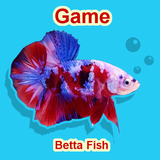 com.jatisaristudio.bettafishseller