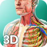 com.visual3dscience.humananatomy