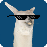 crearmemes.generadormemes.com.memegenerator