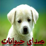 anymale.bakifite
