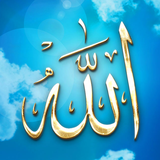 com.phoenix.allahlivewallpaper