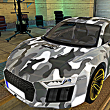 com.racing21.caraudisim