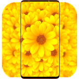 com.YellowWallpaper.colorfulwallpaper.colorwallpaper.background