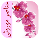 com.imnet.anasoremorosi