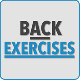 com.webvisiontec.backexercisesatwork