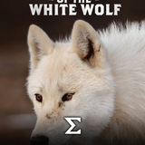 com.enigma.series.kingdom_of_the_white_wolf