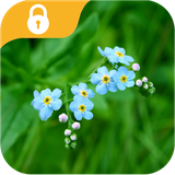 com.tohsoft.applock.nature