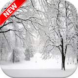 com.Snowwallpapers.pictures.backgrounds.photos.images.hd.free.beautiful