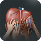 star2.hepatit